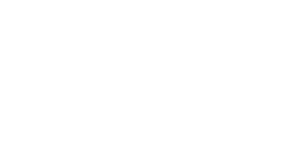 ICT-Libya-IT