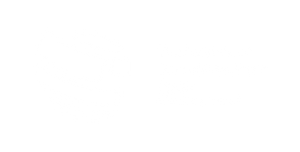 IIA-Egypt-commercial