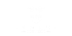 Private-fleet-commercial
