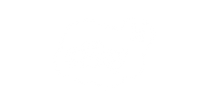 esky-IT